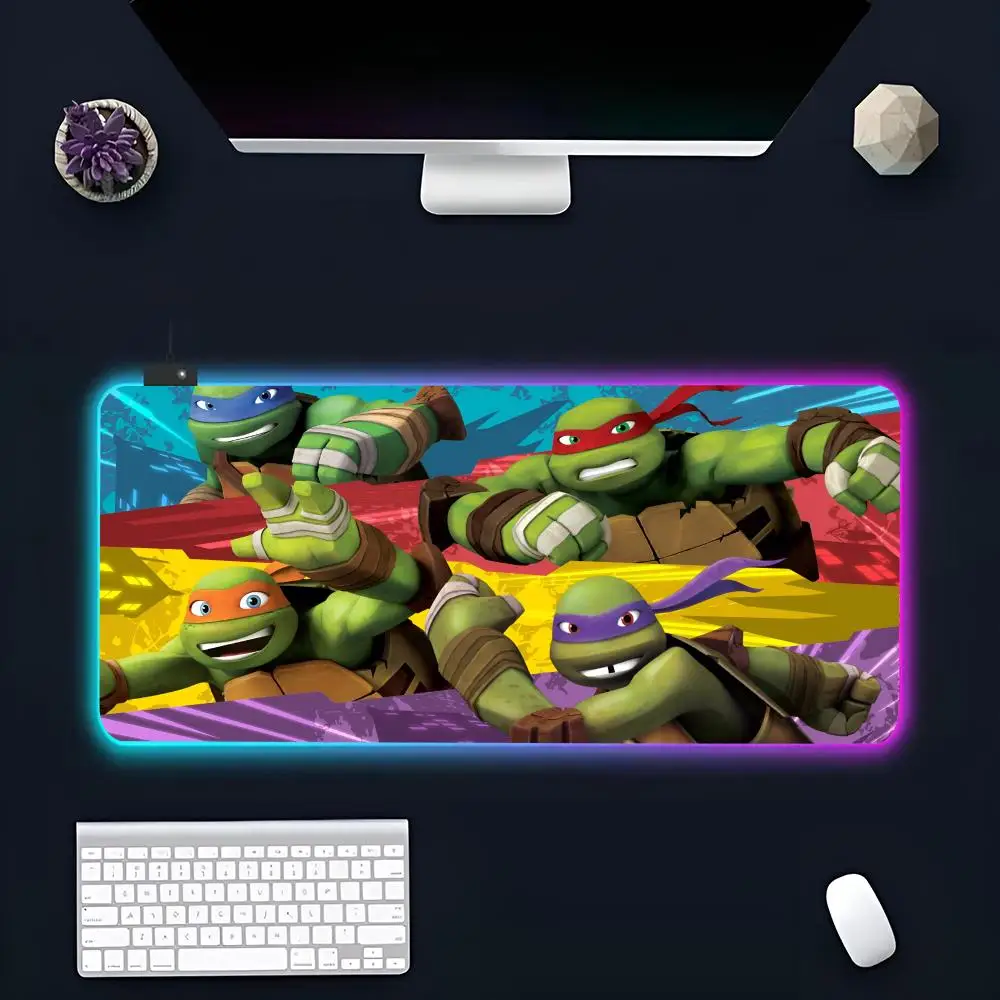 - TMNT Merch