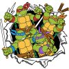 flat750x075f pad750x750f8f8f8 26 - TMNT Merch